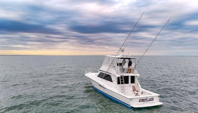 noname For Sale image9