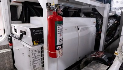 Chinonino For Sale image78