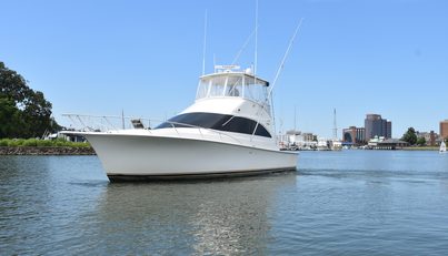 DRAM-BUOY For Sale image2