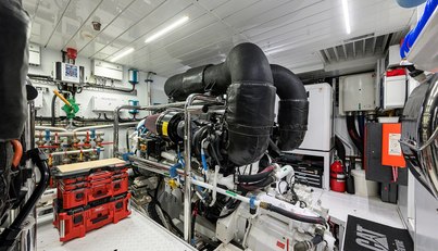 PHOENIX For Sale image145