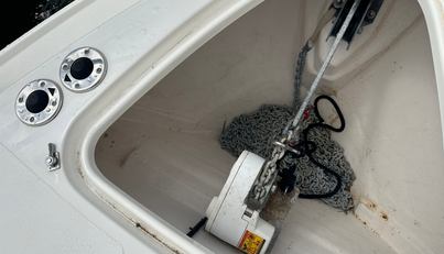 Osprey For Sale image10