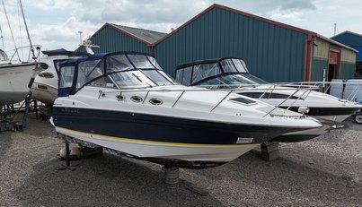 noname For Sale image1