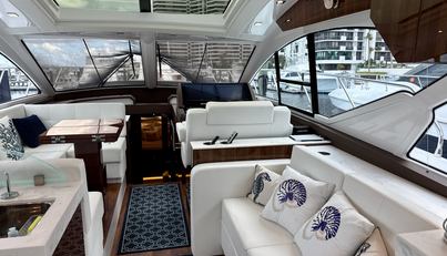 Tropical Dreamer For Sale image41