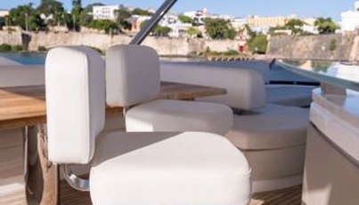 Chinonino For Sale image31