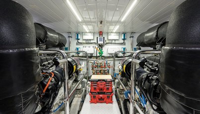 PHOENIX For Sale image140