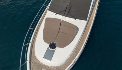 Luna of Chester For Sale image207