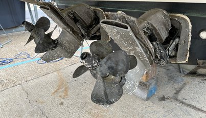 Satisfaction For Sale image41