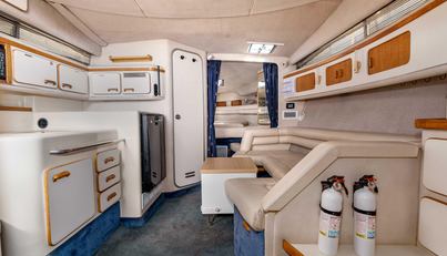 Sea Oddity For Sale image14