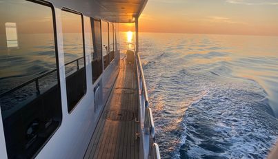 SAMSARA For Sale image7