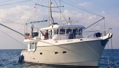BUNYIP 1 For Sale image52