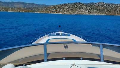 BASYA NICOLI For Sale image18