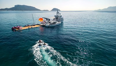 SHADOW For Sale image14