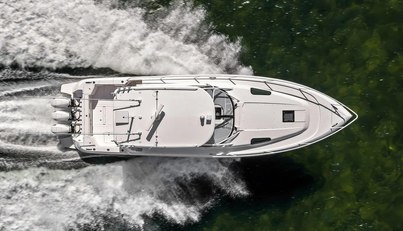 Salty Dog For Sale image7