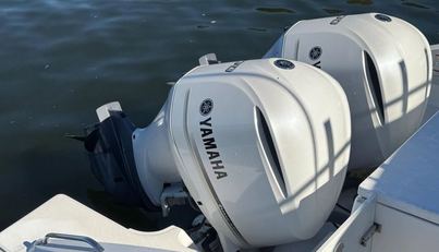 In Pursuit For Sale image21