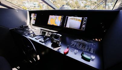 Toro For Sale image34