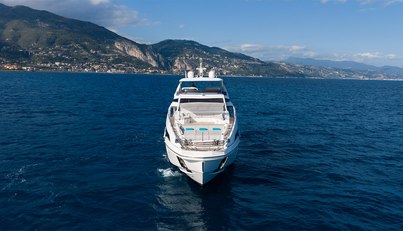 ANA For Sale image31