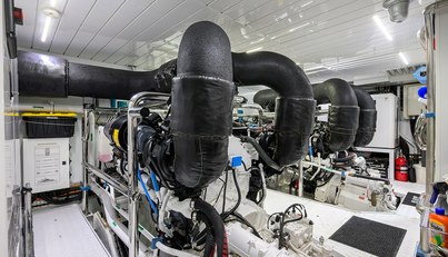 PHOENIX For Sale image136