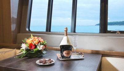 MIRA For Sale image11