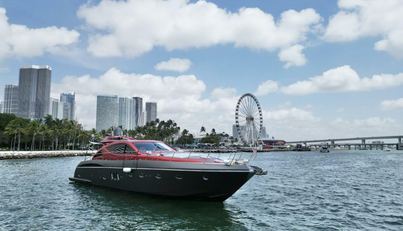 Notorius For Sale image3