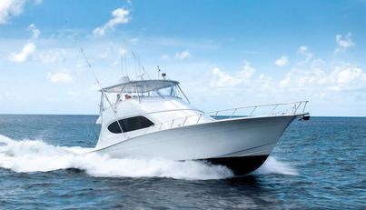 Noname For Sale image11