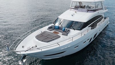 Lady Luckey For Sale image26