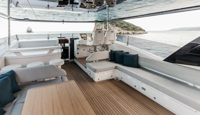 PAPILLON For Sale image26