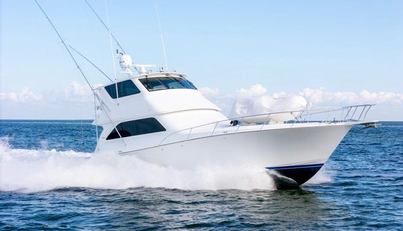 AMANTE For Sale image8