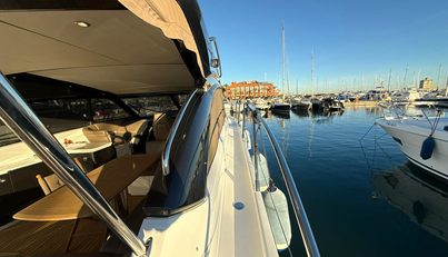 FEATHERS For Sale image11