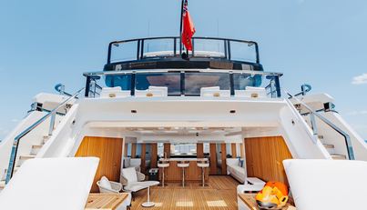 Half Irish For Sale image24