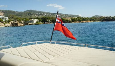 LA RUBIA For Sale image18