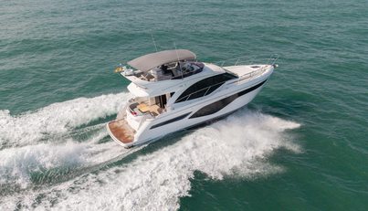 Viva For Sale image16