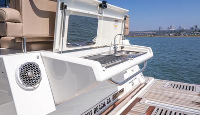 Saw Sea IIII For Sale image20