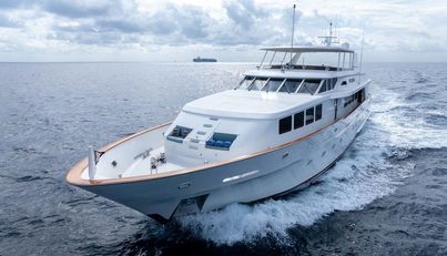 DIRT POOR For Sale image6