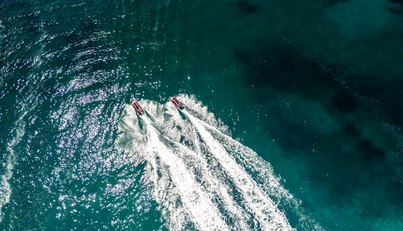 SHADOW For Sale image18