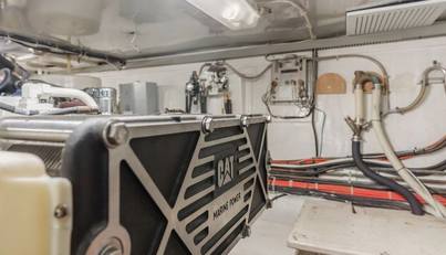 Tribeless For Sale image189