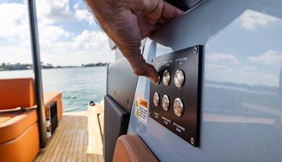 Bella For Sale image66