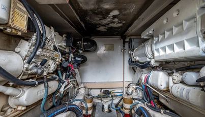 VET BILLZ For Sale image36