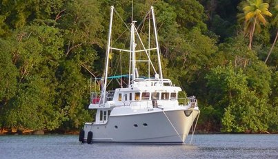 BUNYIP 1 For Sale image48