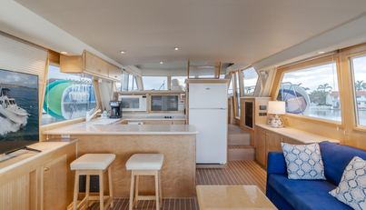 SILVIUS BRABO For Sale image17