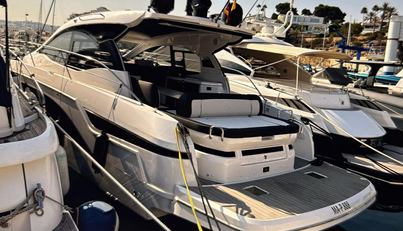 DEEP BLUE For Sale image5