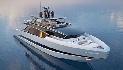 VIPER 100 For Sale image2