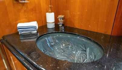 VANGUARD For Sale image37