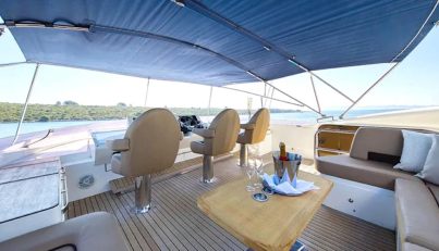 AGAVE For Sale image15