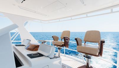 VICTORY For Sale image11