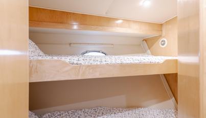 SILVIUS BRABO For Sale image30