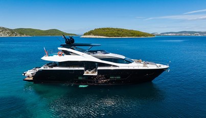 Black Mamba For Sale image1