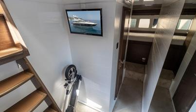 Luna of Chester For Sale image179