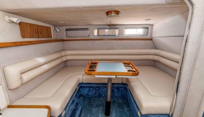 Sea Oddity For Sale image21