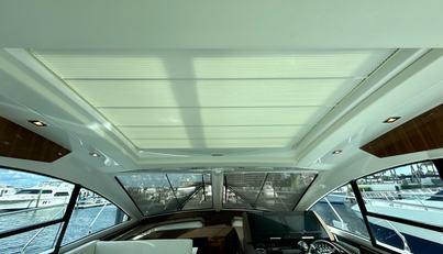 Tropical Dreamer For Sale image59