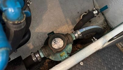 Lady Zette For Sale image24